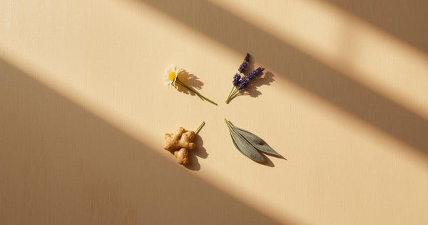 A circular still-life arrangement showing four small groups of herbs on neutral fabric, representing the four traditional temperaments used in humoral herbalism.